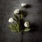 6 PCS Artificial Peony Flowers with Long Stems, Faux Silk Peony Branches for Vase, 27" Cream Fake Peonies Bulk for DIY Bouquets, Wedding Centerpieces, Home Decor, Bridal Shower Decorations